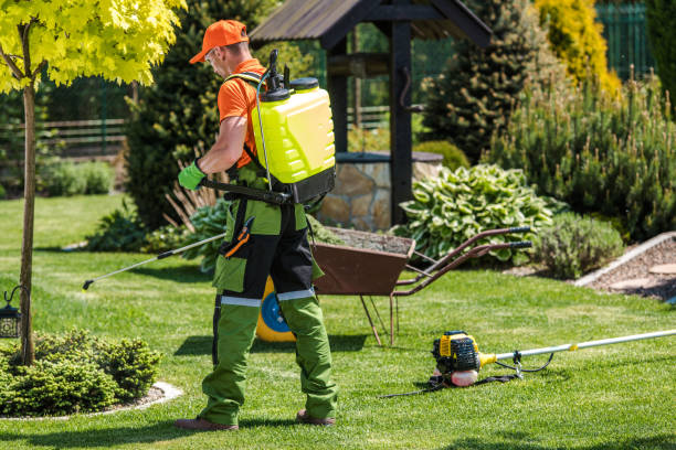 Best Fumigation Services  in Larch Y, WA